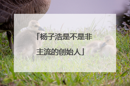 杨子浩是不是非主流的创始人