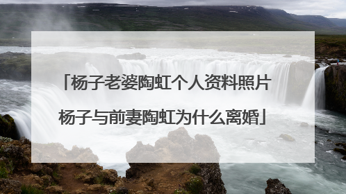 杨子老婆陶虹个人资料照片 杨子与前妻陶虹为什么离婚