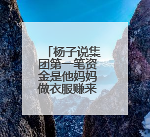 杨子说集团第一笔资金是他妈妈做衣服赚来的,他的妈妈一生有多传奇?