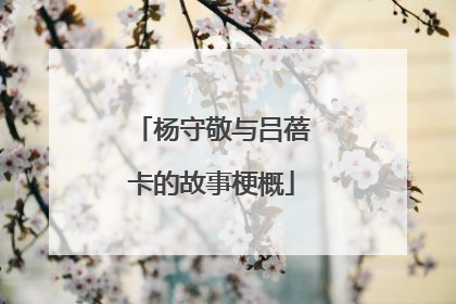 杨守敬与吕蓓卡的故事梗概