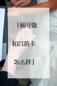 杨守敬和吕蓓卡怎么样