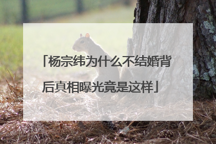 杨宗纬为什么不结婚背后真相曝光竟是这样