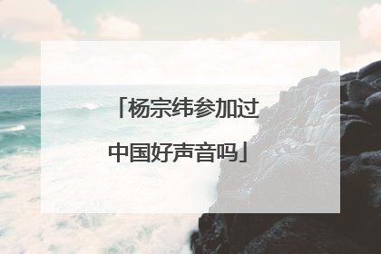 杨宗纬参加过中国好声音吗