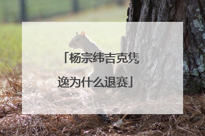 杨宗纬吉克隽逸为什么退赛