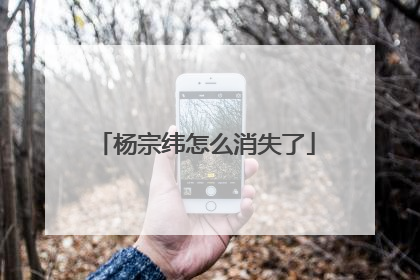 杨宗纬怎么消失了