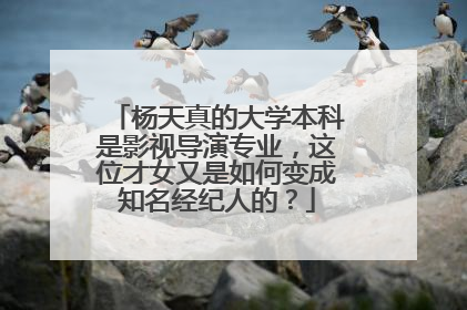 杨天真的大学本科是影视导演专业，这位才女又是如何变成知名经纪人的？