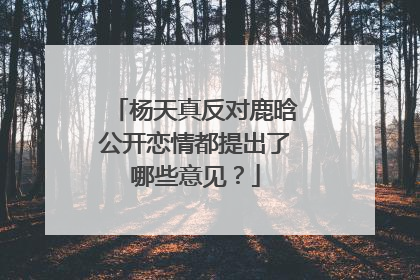 杨天真反对鹿晗公开恋情都提出了哪些意见?