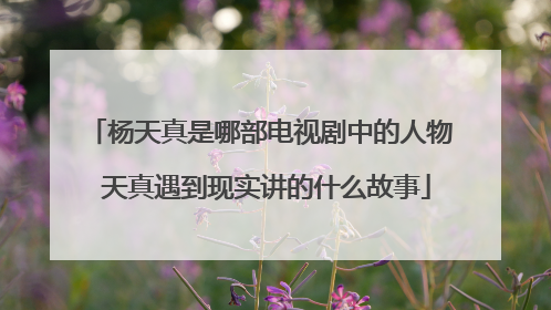 杨天真是哪部电视剧中的人物 天真遇到现实讲的什么故事