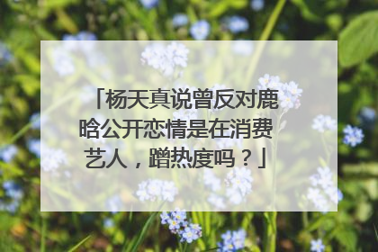 杨天真说曾反对鹿晗公开恋情是在消费艺人,蹭热度吗?