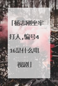 杨志刚坐牢打人,编号416是什么电视剧