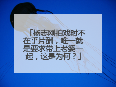 杨志刚拍戏时不在乎片酬，唯一就是要求带上老婆一起，这是为何？