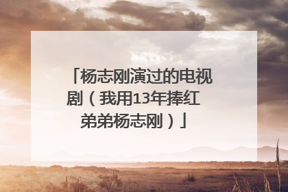 杨志刚演过的电视剧(我用13年捧红弟弟杨志刚)