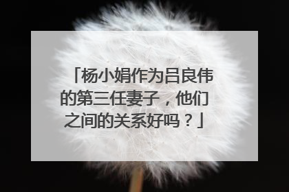 杨小娟作为吕良伟的第三任妻子,他们之间的关系好吗?