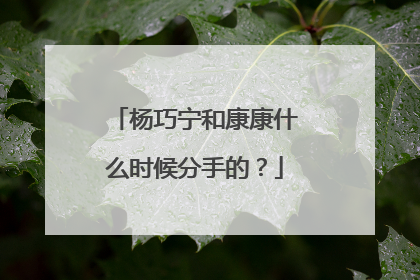 杨巧宁和康康什么时候分手的？
