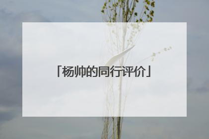 杨帅的同行评价