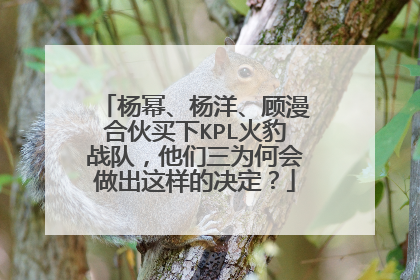 杨幂、杨洋、顾漫合伙买下KPL火豹战队,他们三为何会做出这样的决定?