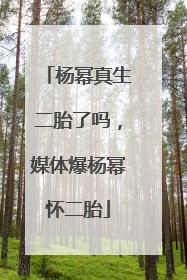 杨幂真生二胎了吗,媒体爆杨幂怀二胎