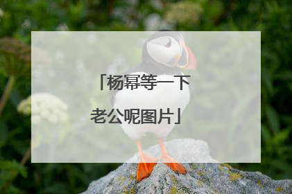 杨幂等一下老公呢图片