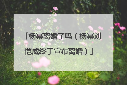 杨幂离婚了吗(杨幂刘恺威终于宣布离婚)