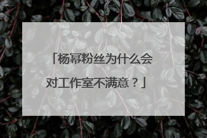 杨幂粉丝为什么会对工作室不满意?