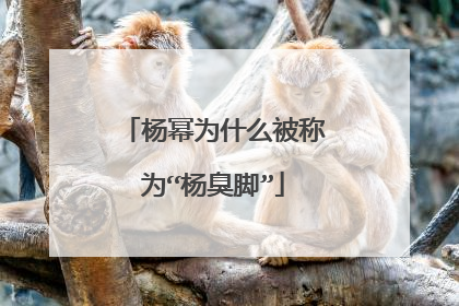 杨幂为什么被称为“杨臭脚”