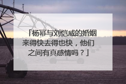 杨幂与刘恺威的婚姻来得快去得也快，他们之间有真感情吗？