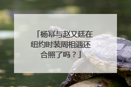 杨幂与赵又廷在纽约时装周相遇还合照了吗？