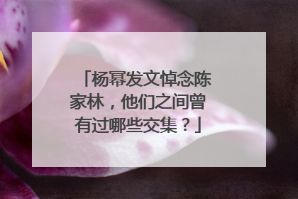 杨幂发文悼念陈家林,他们之间曾有过哪些交集?
