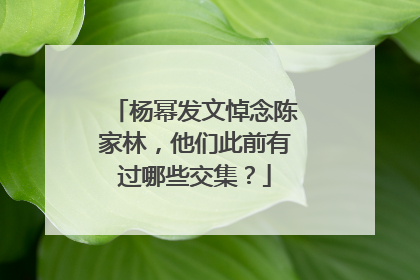 杨幂发文悼念陈家林,他们此前有过哪些交集?
