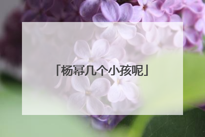 杨幂几个小孩呢