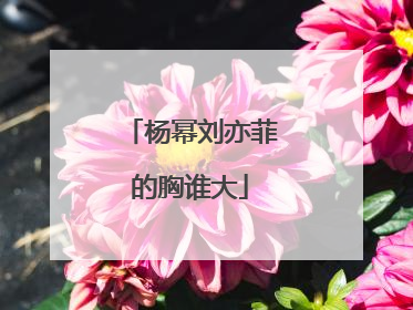 杨幂刘亦菲的胸谁大