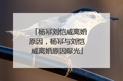 杨幂刘恺威离婚原因，杨幂与刘恺威离婚原因曝光