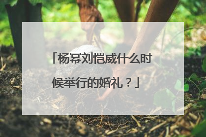 杨幂刘恺威什么时候举行的婚礼?