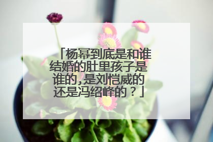 杨幂到底是和谁结婚的肚里孩子是谁的,是刘恺威的还是冯绍峰的？