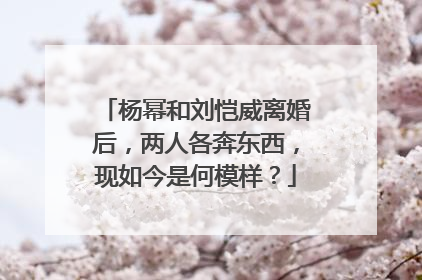 杨幂和刘恺威离婚后,两人各奔东西,现如今是何模样?