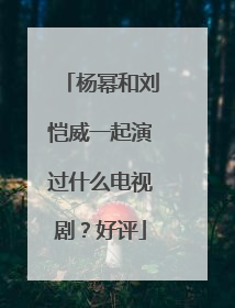 杨幂和刘恺威一起演过什么电视剧？好评