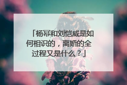 杨幂和刘恺威是如何相识的，离婚的全过程又是什么？