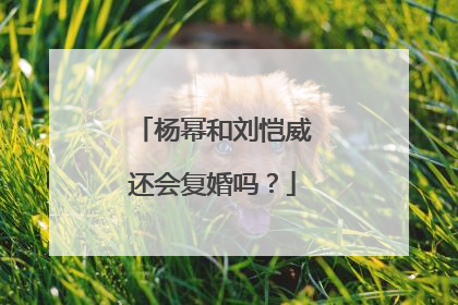 杨幂和刘恺威还会复婚吗？