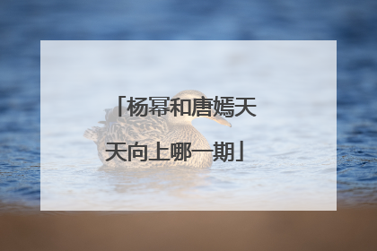 杨幂和唐嫣天天向上哪一期