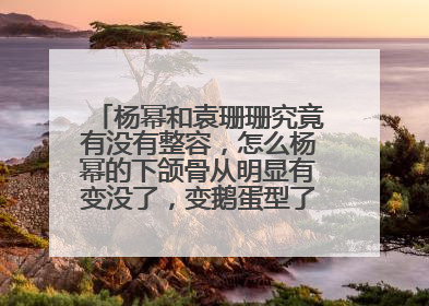 杨幂和袁珊珊究竟有没有整容,怎么杨幂的下颌骨从明显有变没了,变鹅蛋型了?怎么人人都说香肠嘴什么的..