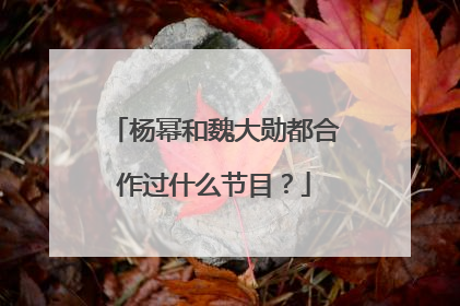 杨幂和魏大勋都合作过什么节目？