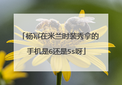 杨幂在米兰时装秀拿的手机是6还是5s呀