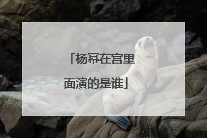 杨幂在宫里面演的是谁