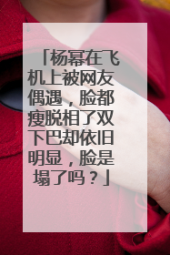 杨幂在飞机上被网友偶遇，脸都瘦脱相了双下巴却依旧明显，脸是塌了吗？