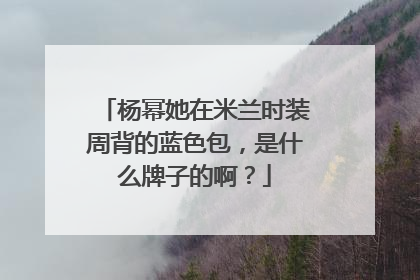 杨幂她在米兰时装周背的蓝色包，是什么牌子的啊？