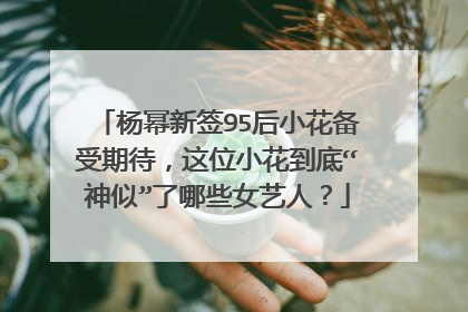 杨幂新签95后小花备受期待，这位小花到底“神似”了哪些女艺人？