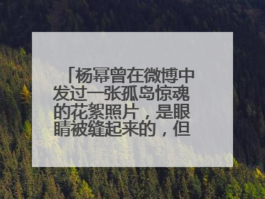 杨幂曾在微博中发过一张孤岛惊魂的花絮照片,是眼睛被缝起来的,但是电影中好像没出现啊!