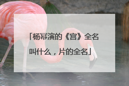 杨幂演的《宫》全名叫什么，片的全名