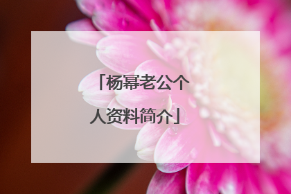 杨幂老公个人资料简介