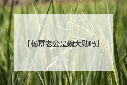 杨幂老公是魏大勋吗